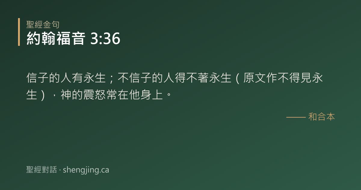 約翰福音 3:36 經文圖片:信子的人有永生；不信子的人得不著永生（原文作不得見永生），神的震怒常在他身上。