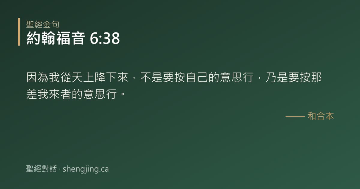 約翰福音 6:38 經文圖片:因為我從天上降下來，不是要按自己的意思行，乃是要按那差我來者的意思行。