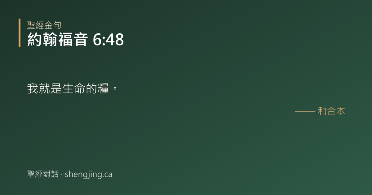 約翰福音 6:48 經文圖片:我就是生命的糧。