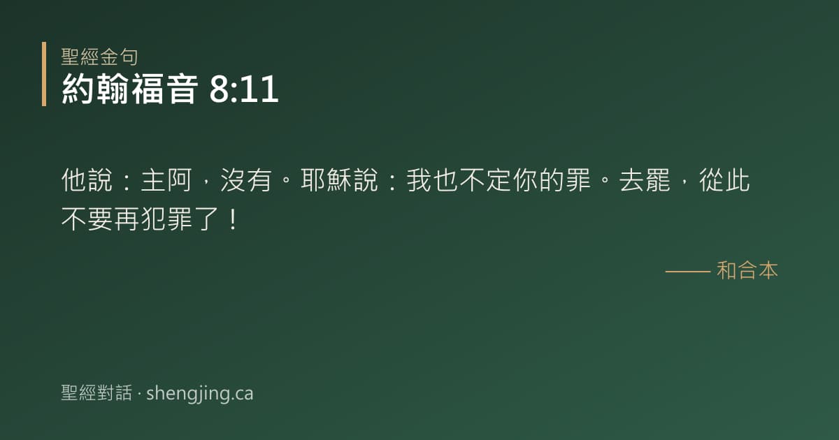 約翰福音 8:11 經文圖片:他說：主阿，沒有。耶穌說：我也不定你的罪。去罷，從此不要再犯罪了！