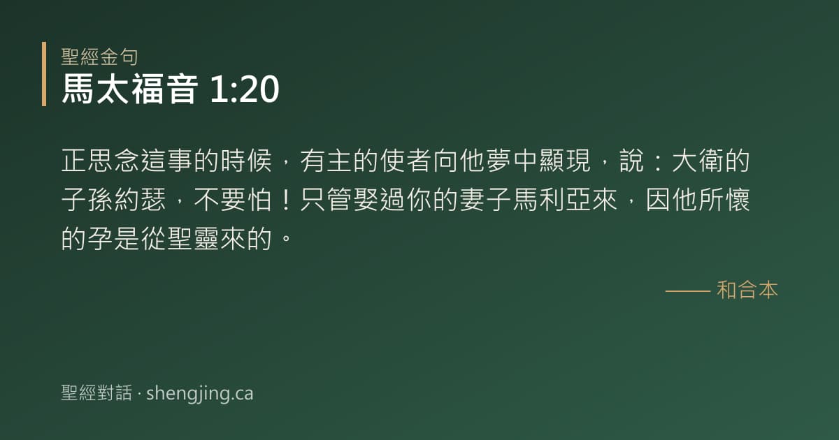 馬太福音 1:20 經文圖片:正思念這事的時候，有主的使者向他夢中顯現，說：大衛的子孫約瑟，不要怕！只管娶過你