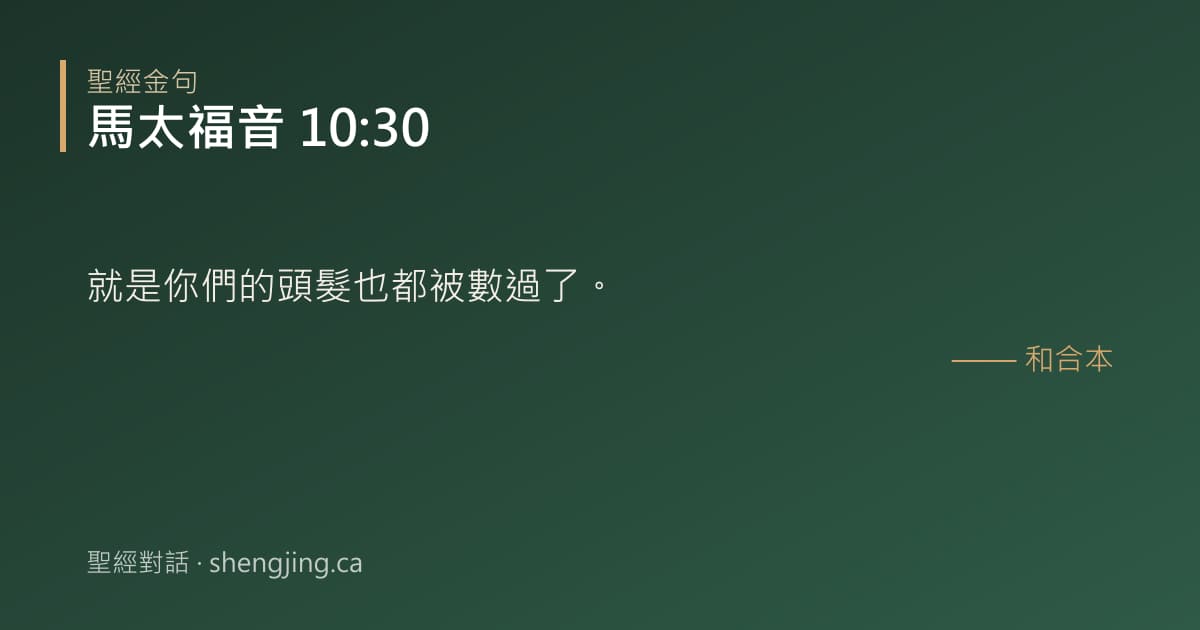 馬太福音 10:30 經文圖片:就是你們的頭髮也都被數過了。