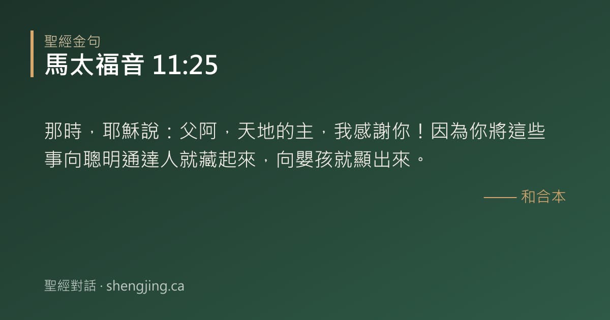 馬太福音 11:25 經文圖片:那時，耶穌說：父阿，天地的主，我感謝你！因為你將這些事向聰明通達人就藏起來，向嬰