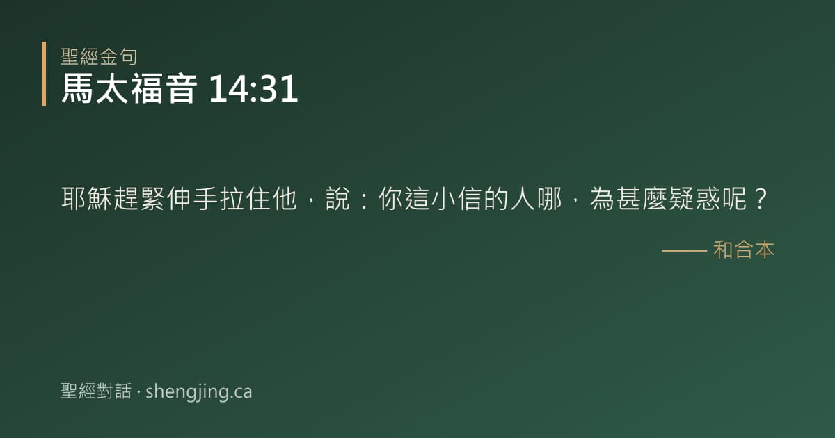 馬太福音 14:31 經文圖片:耶穌趕緊伸手拉住他，說：你這小信的人哪，為甚麼疑惑呢？