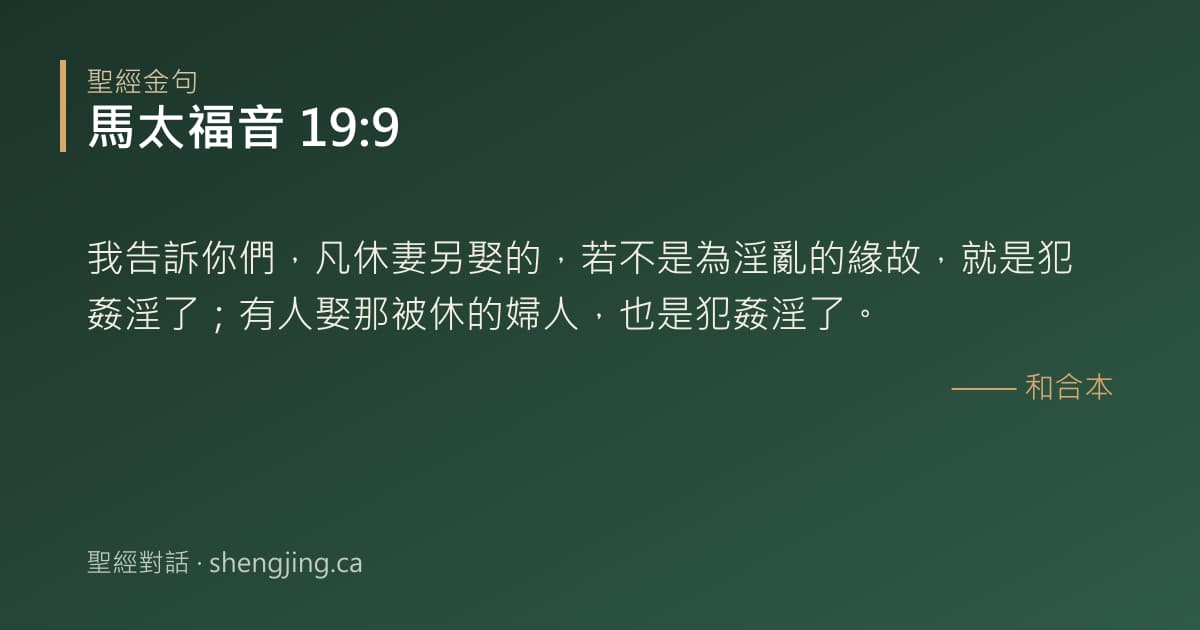 馬太福音 19:9 經文圖片:我告訴你們，凡休妻另娶的，若不是為淫亂的緣故，就是犯姦淫了；有人娶那被休的婦人，