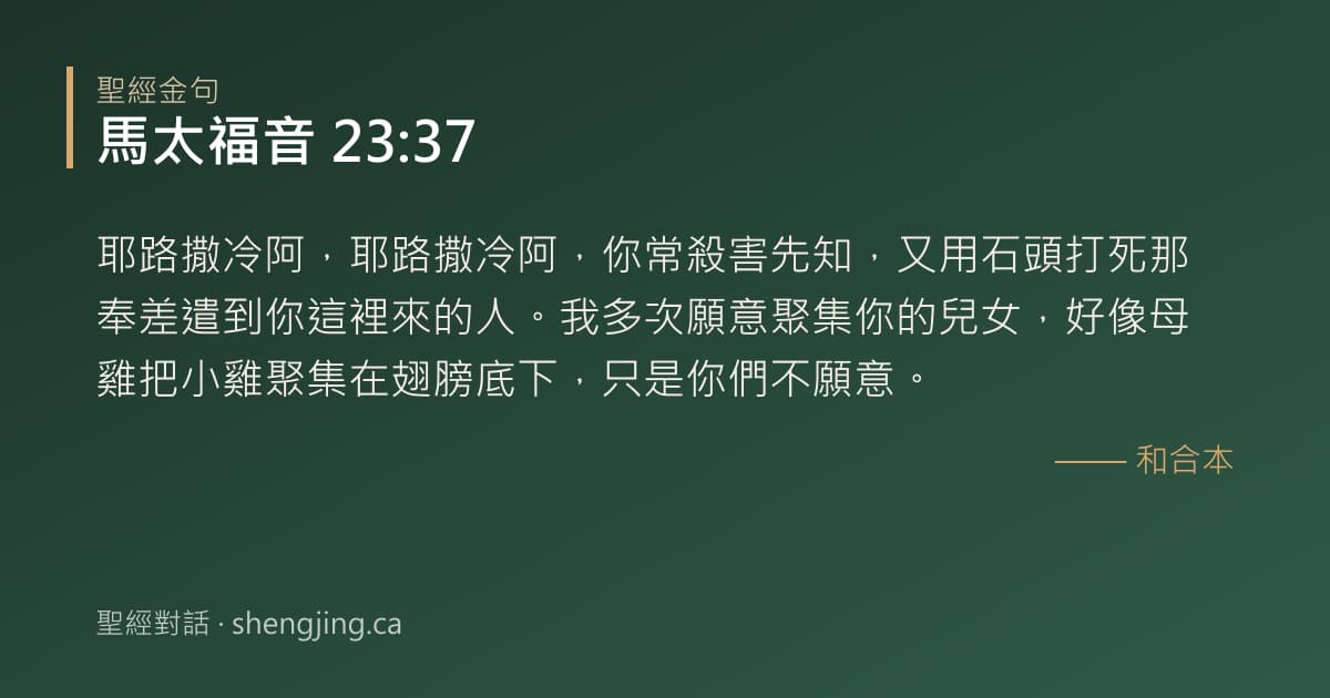 馬太福音 23:37 經文圖片:耶路撒冷阿，耶路撒冷阿，你常殺害先知，又用石頭打死那奉差遣到你這裡來的人。我多次