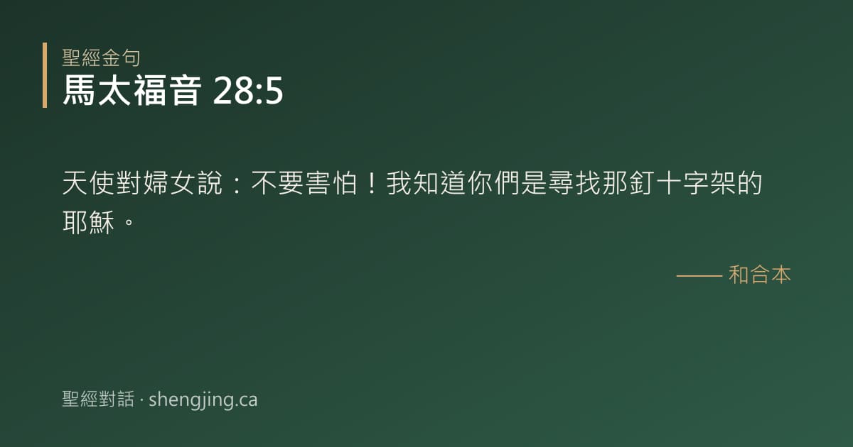 馬太福音 28:5 經文圖片:天使對婦女說：不要害怕！我知道你們是尋找那釘十字架的耶穌。