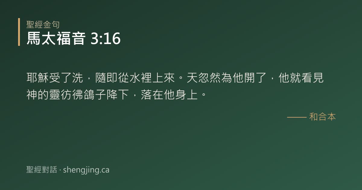馬太福音 3:16 經文圖片:耶穌受了洗，隨即從水裡上來。天忽然為他開了，他就看見神的靈彷彿鴿子降下，落在他身