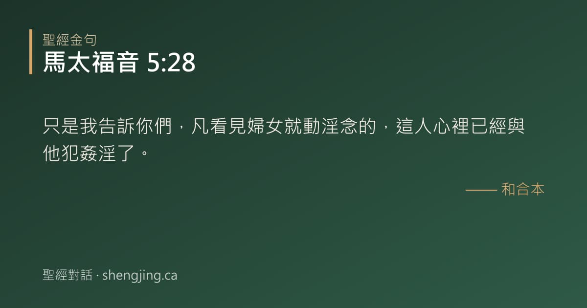 馬太福音 5:28 經文圖片:只是我告訴你們，凡看見婦女就動淫念的，這人心裡已經與他犯姦淫了。