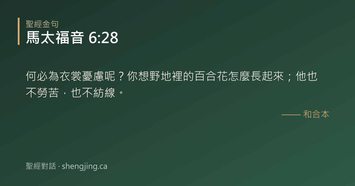馬太福音 6:28 經文圖片:何必為衣裳憂慮呢？你想野地裡的百合花怎麼長起來；他也不勞苦，也不紡線。