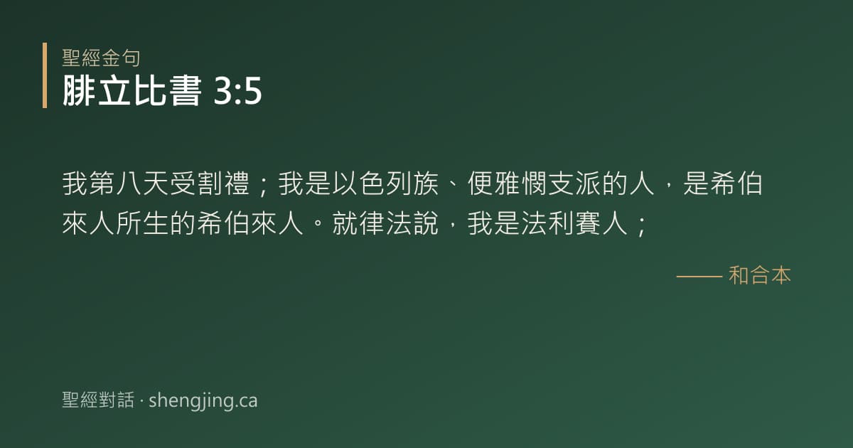 腓立比書 3:5 經文圖片:我第八天受割禮；我是以色列族、便雅憫支派的人，是希伯來人所生的希伯來人。就律法說