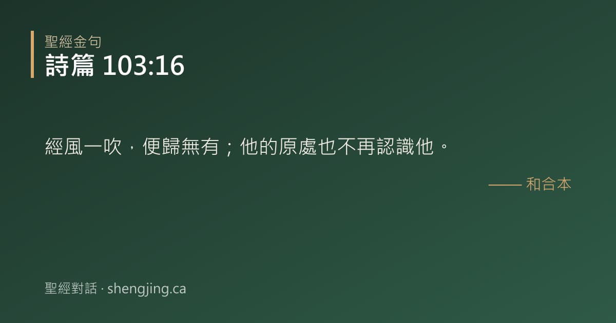 詩篇 103:16 經文圖片:經風一吹，便歸無有；他的原處也不再認識他。
