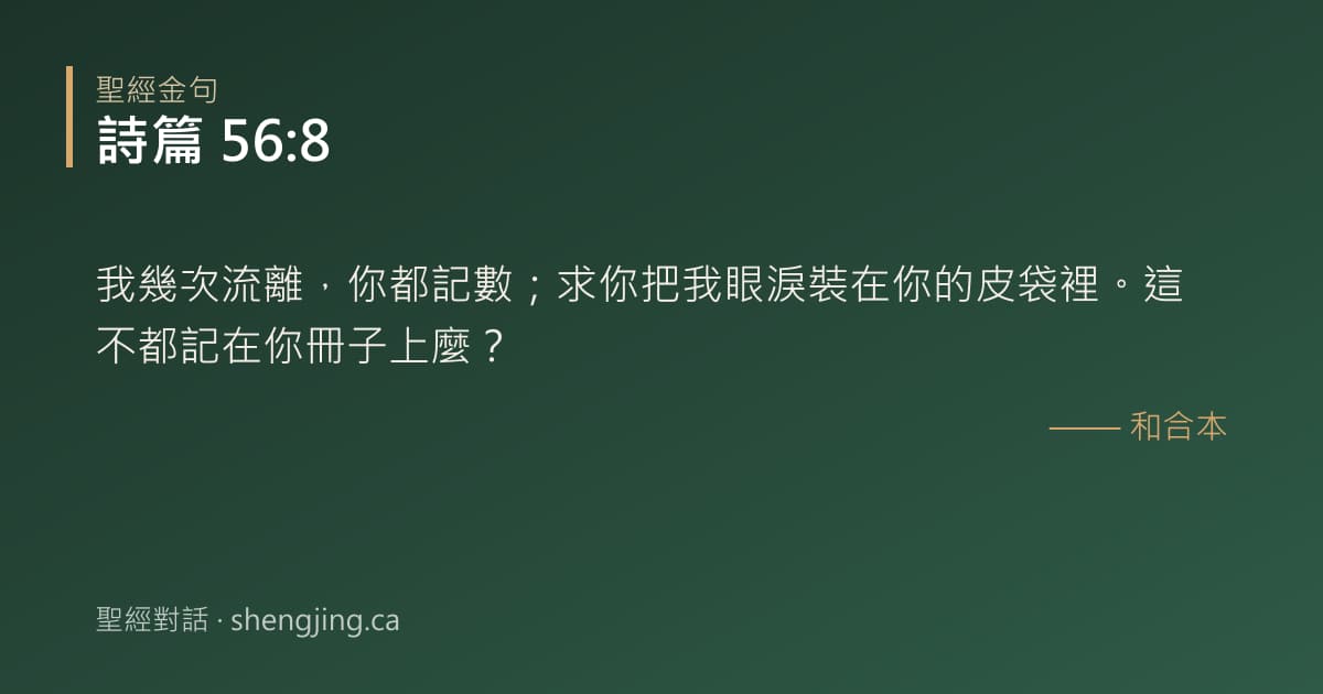 詩篇 56:8 經文圖片:我幾次流離，你都記數；求你把我眼淚裝在你的皮袋裡。這不都記在你冊子上麼？