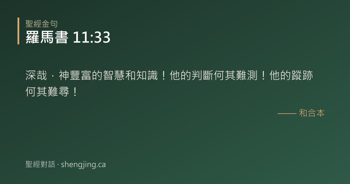 羅馬書 11:33 經文圖片:深哉，神豐富的智慧和知識！他的判斷何其難測！他的蹤跡何其難尋！