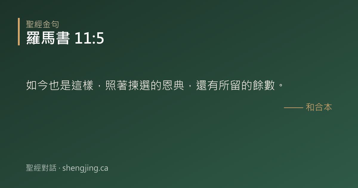 羅馬書 11:5 經文圖片:如今也是這樣，照著揀選的恩典，還有所留的餘數。
