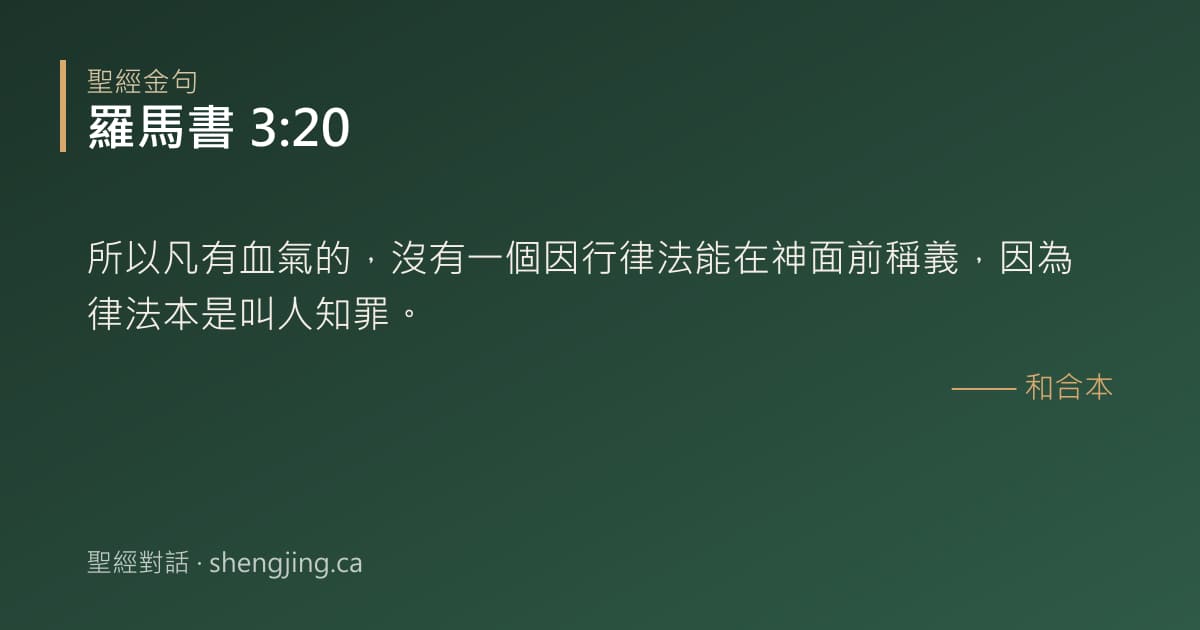 羅馬書 3:20 經文圖片:所以凡有血氣的，沒有一個因行律法能在神面前稱義，因為律法本是叫人知罪。