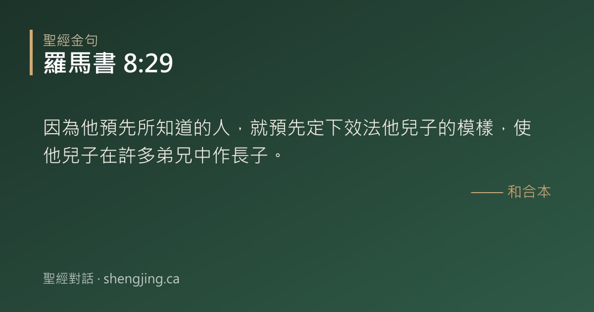 羅馬書 8:29 經文圖片:因為他預先所知道的人，就預先定下效法他兒子的模樣，使他兒子在許多弟兄中作長子。