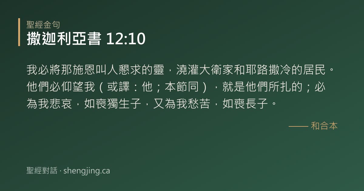 撒迦利亞書 12:10 經文圖片:我必將那施恩叫人懇求的靈，澆灌大衛家和耶路撒冷的居民。他們必仰望我（或譯：他；本