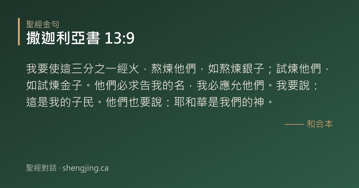 撒迦利亞書 13:9 經文圖片:我要使這三分之一經火，熬煉他們，如熬煉銀子；試煉他們，如試煉金子。他們必求告我的