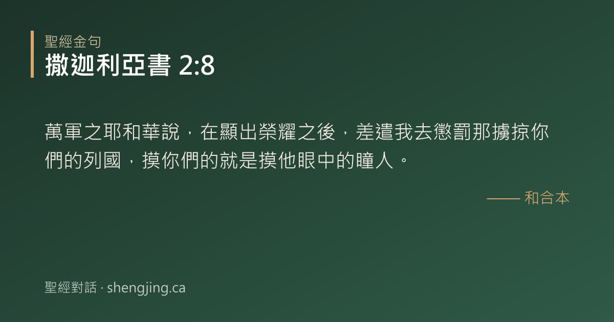 撒迦利亞書 2:8 經文圖片:萬軍之耶和華說，在顯出榮耀之後，差遣我去懲罰那擄掠你們的列國，摸你們的就是摸他眼