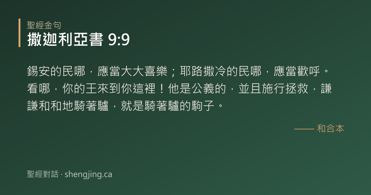 撒迦利亞書 9:9 經文圖片:錫安的民哪，應當大大喜樂；耶路撒冷的民哪，應當歡呼。看哪，你的王來到你這裡！他是
