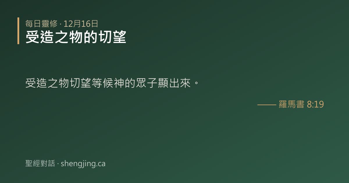 12月16日 每日靈修經文圖片:受造之物的切望(羅馬書 8:19)